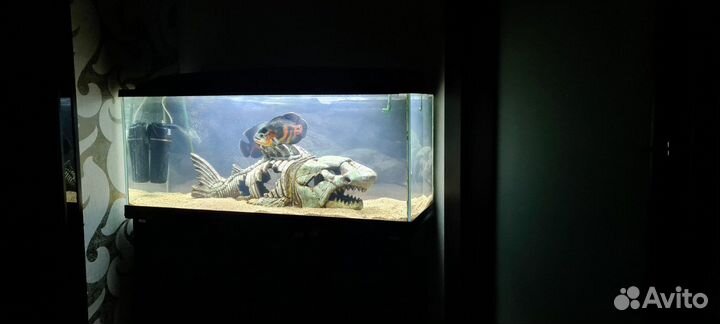 Аквариум с тумбой