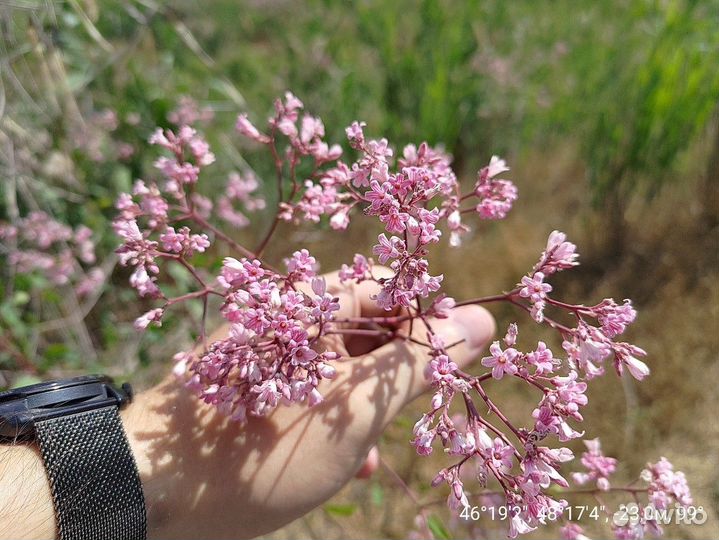 Экологические изыскания