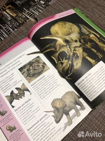 Энциклопедия для детей