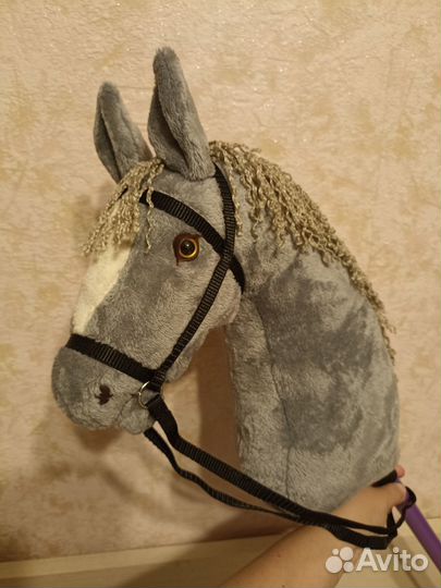 Конь на палочке, хобби хорс