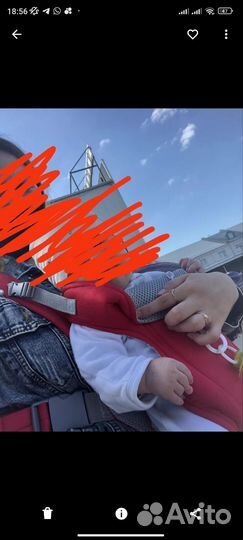 Кенгуру переноска