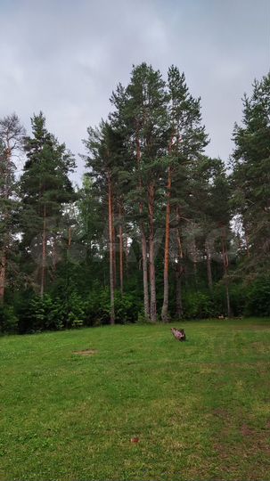 Участок 9,5 га (СНТ, ДНП)