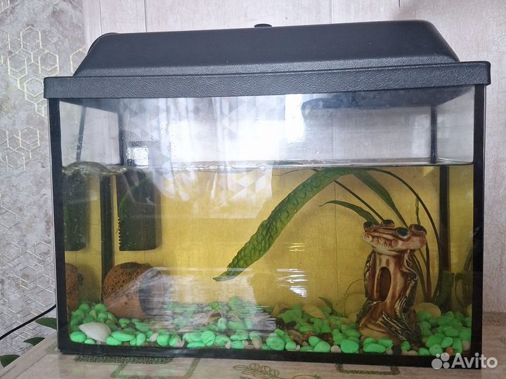 Аквариум
