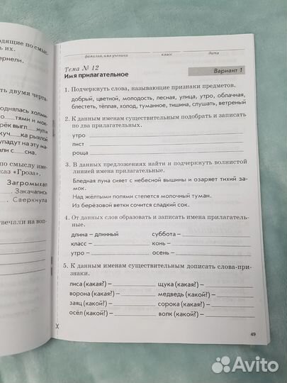 Зачетная тетрадь по русскому языку за 2 класс