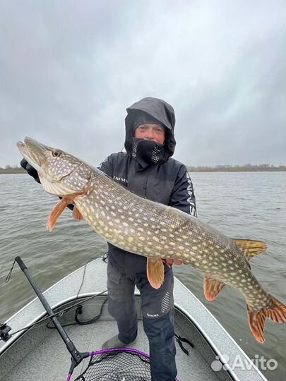 Организация рыбалки в Астраханской обл