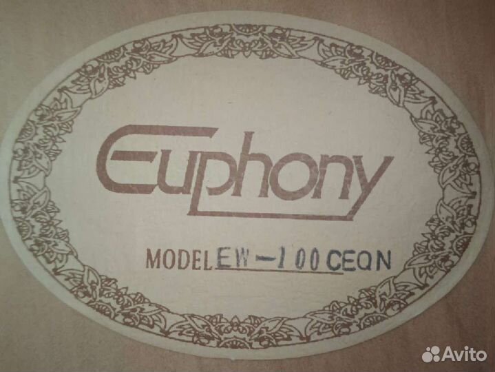 Электроакустическая гитара