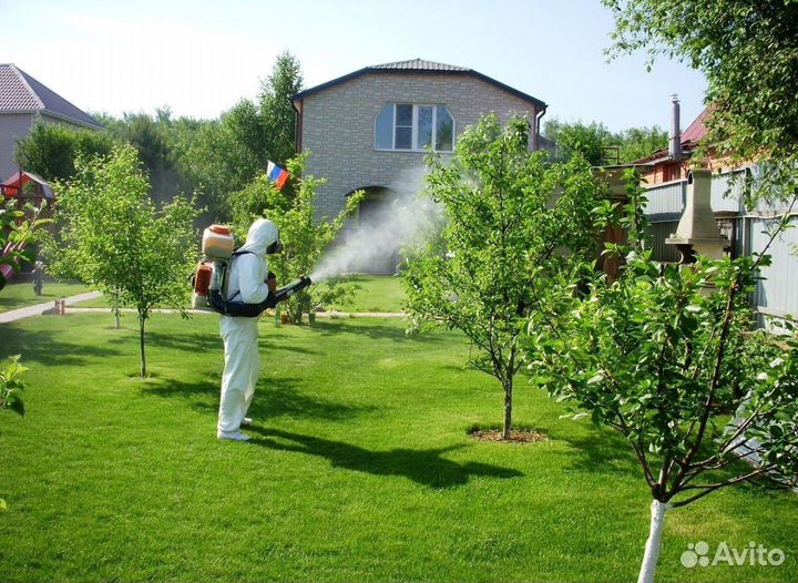 Уничтожение кротов клещей комаров ос борщевика