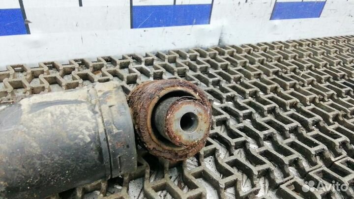 Амортизатор/стойка задняя (разное) Renault Megane