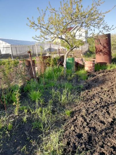 Участок 4 сот. (СНТ, ДНП)