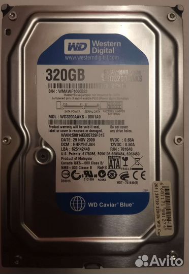 WD синий 320 Гб