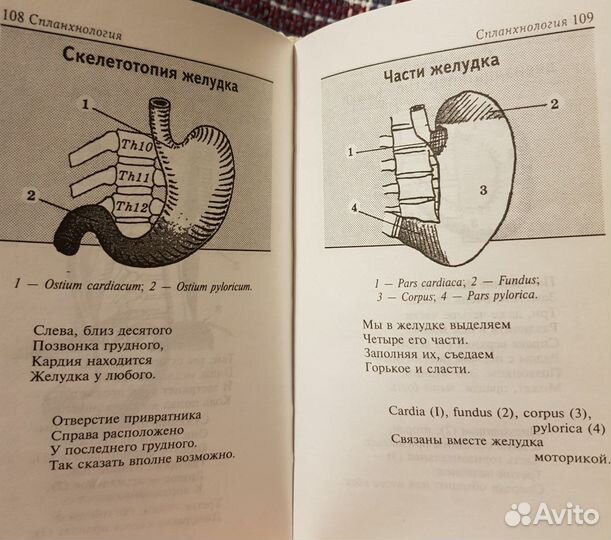 Карманный анатомический альбом Пупышева