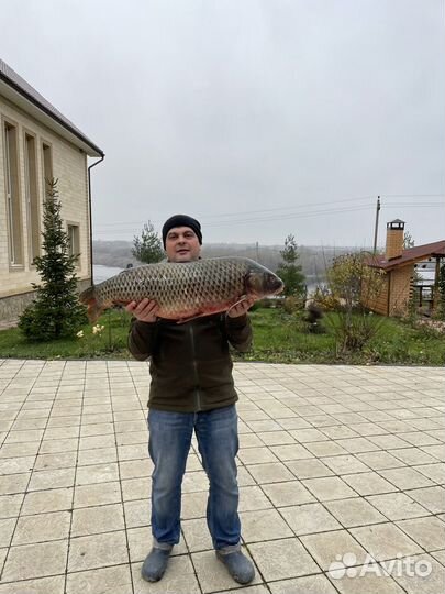 Организация рыбалки