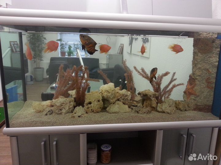 Обслуживание аквариумных комплексов