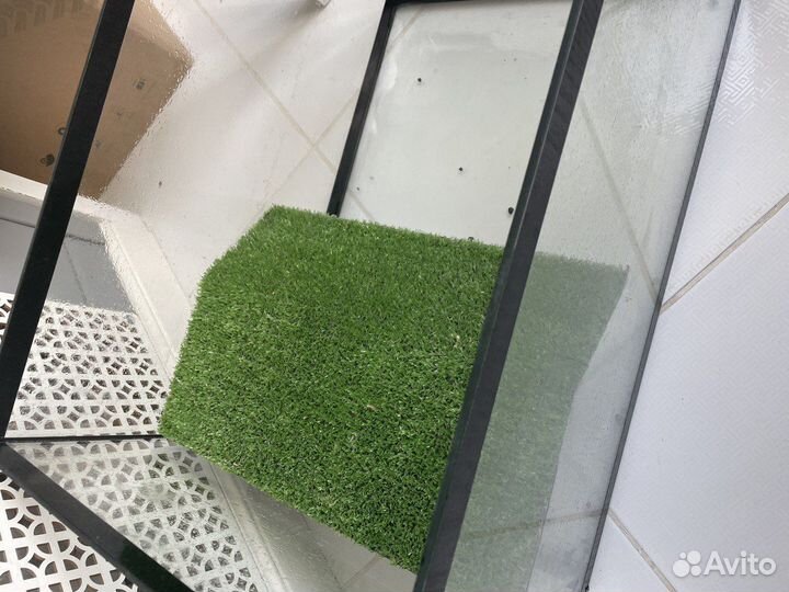 Аквариум для черепах