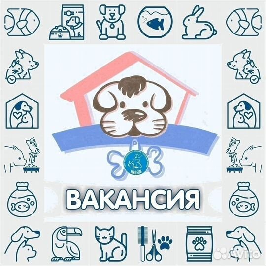 Помощник руководителя