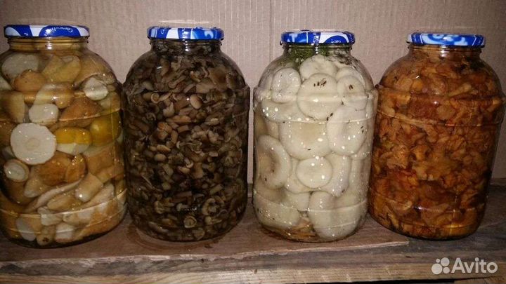 Грибы соленые