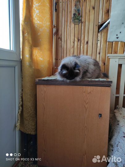 Швейная машинка