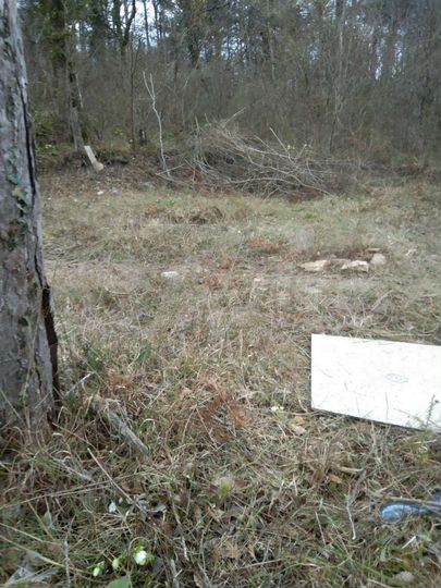 Участок 6,2 сот. (СНТ, ДНП)