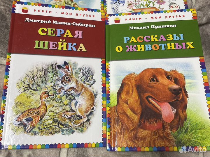 Книги для внеклассного чтения