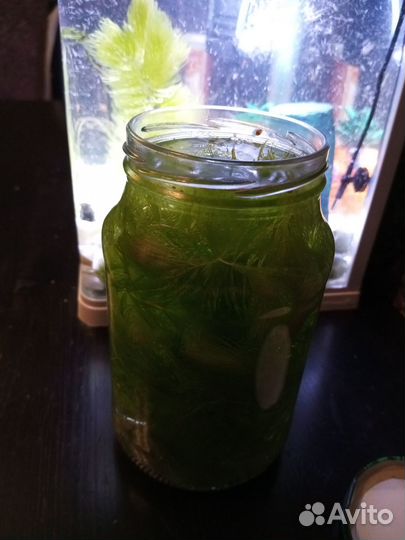 Отдам траву роголистник