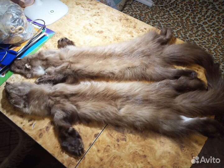 Шкурки 2 шт целиком. Цена за обе