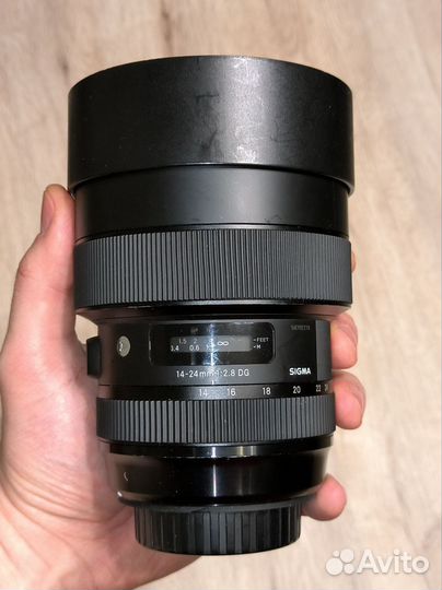 Sigma art 14-24 f2.8 canon