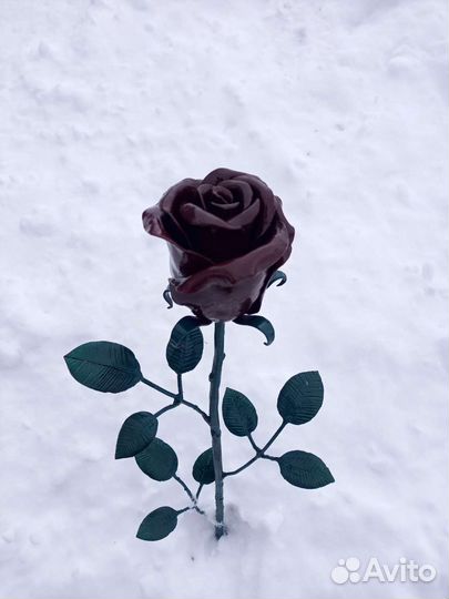 Роза кованая