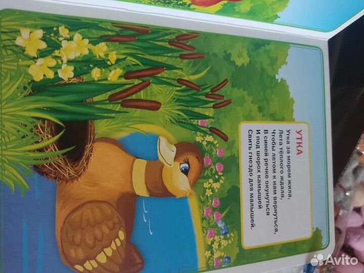 Детские книги новые