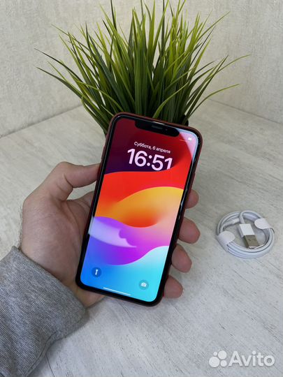 iPhone Xr, 128 ГБ