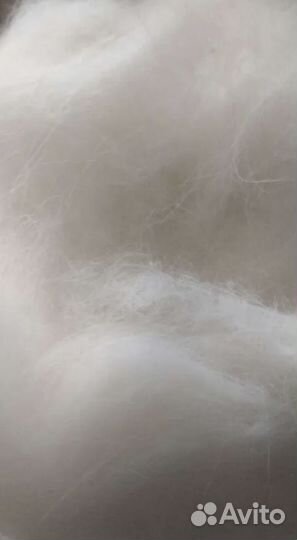 Шерсть самоеда