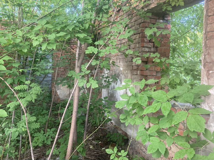 Дом 100 м² на участке 8 сот.