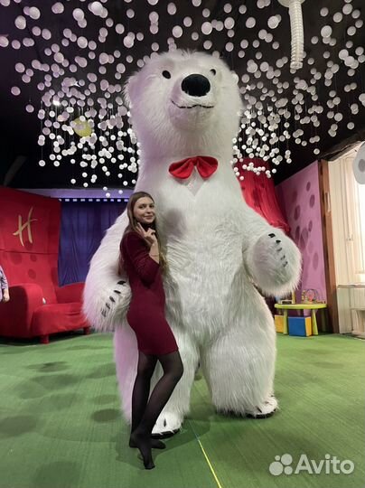 Медведь/ Чебурашка/ Панда / экспресс поздравление