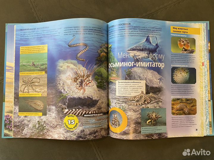 Энциклопедия интересных фактов, 3 шт