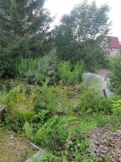 Дача 28 м² на участке 8 сот.