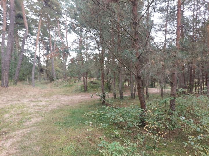 Участок 6 га (СНТ, ДНП)