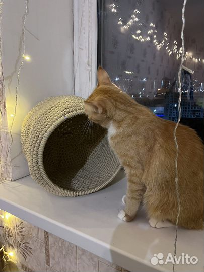 Домик для кошки новый / домик для кошки вязаный