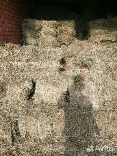 Сено в тюка разнотравье, люцерну