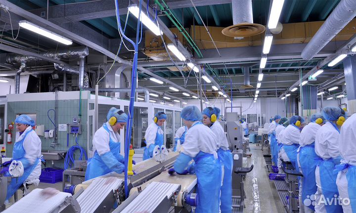 Ежедневные выплаты сборщики пиццы в ночь