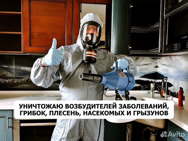 Дезинфекция уничтожение тараканов клопов