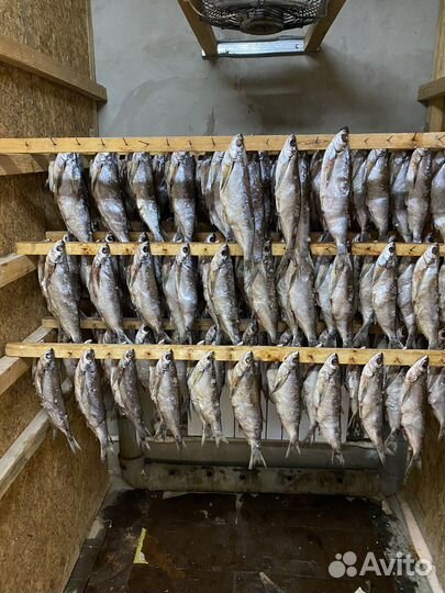 Рыба вяленная