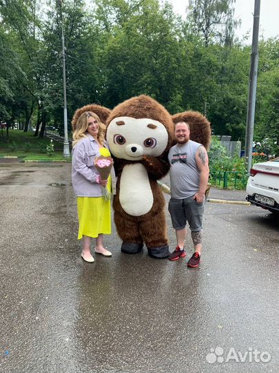 Ростовой Медведь умка и Чебурашка Москва