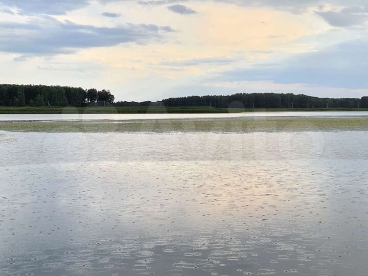 Участок 5 га (СНТ, ДНП)