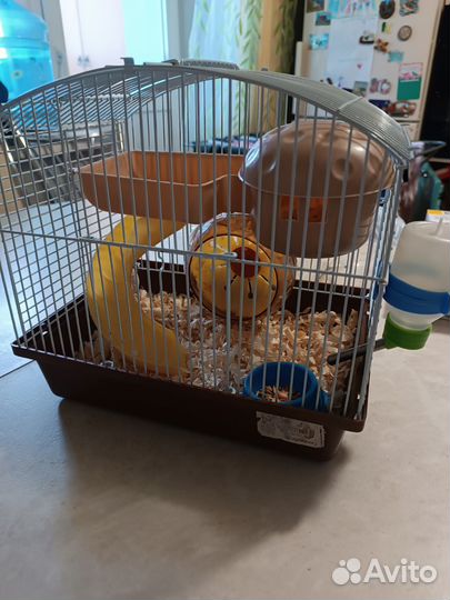 Клетка для хомяка