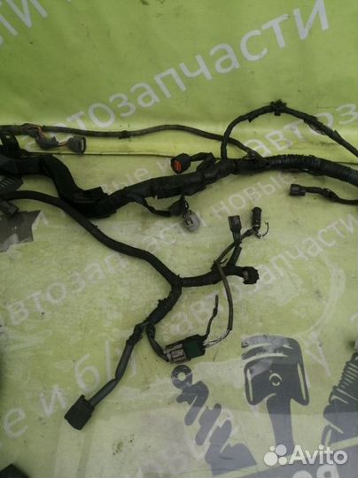 Проводка коса двигателя Infiniti Fx35 S50 S50 3.5