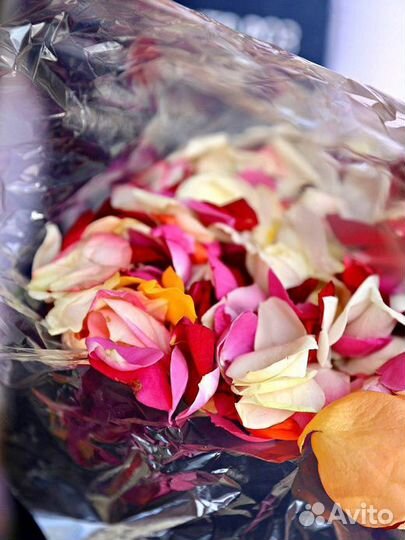 Лепестки роз для романтического свидания (пакет)