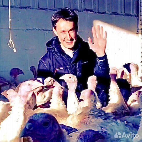 Индюки тяжелого кросса Hybrid Converter