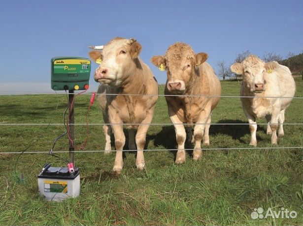 Электропастух Дуга-13 / электроизгородь / забор
