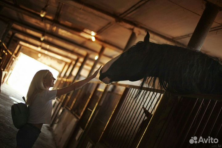 Конный клуб 