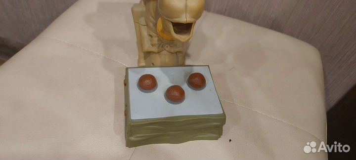 Плюющий Верблюд