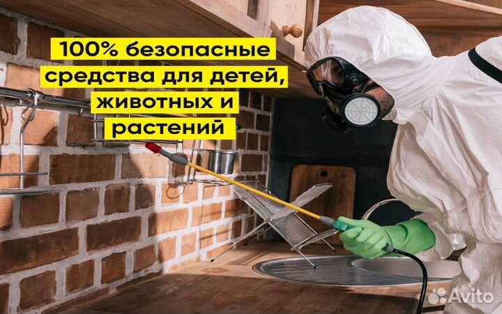 Дезинфекция, дезинсекция уничтожение тараканов